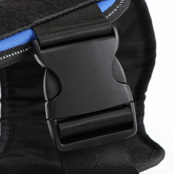 Шлейка К9 мягкая светоотражающая, размер L, ОГ 68-80 см, вес 17,5-32,5 см, синяя Шлейка К9 мягкая светоотражающая, размер L, ОГ 68-80 см, вес 17,5-32,5 см, синяя