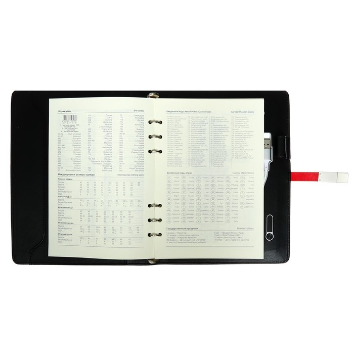 Органайзер на кольцах,ПВХ,А5,140 л, клетка,с ручкой,подар. короб,флешка,зарядка,МИКС Органайзер на кольцах,ПВХ,А5,140 л, клетка,с ручкой,подар. короб,флешка,зарядка,МИКС