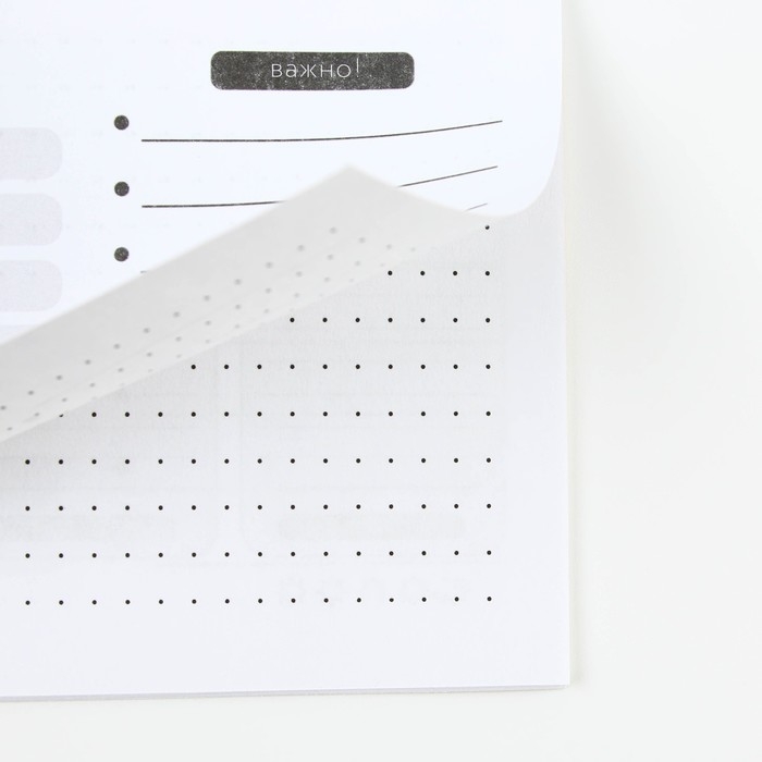 Планинг горизонтальный &laquo;Мечтай&raquo;, на скобе, 24 листа