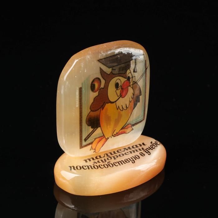 Оберег «Сова», талисман мудрости, на подставке Оберег «Сова», талисман мудрости, на подставке