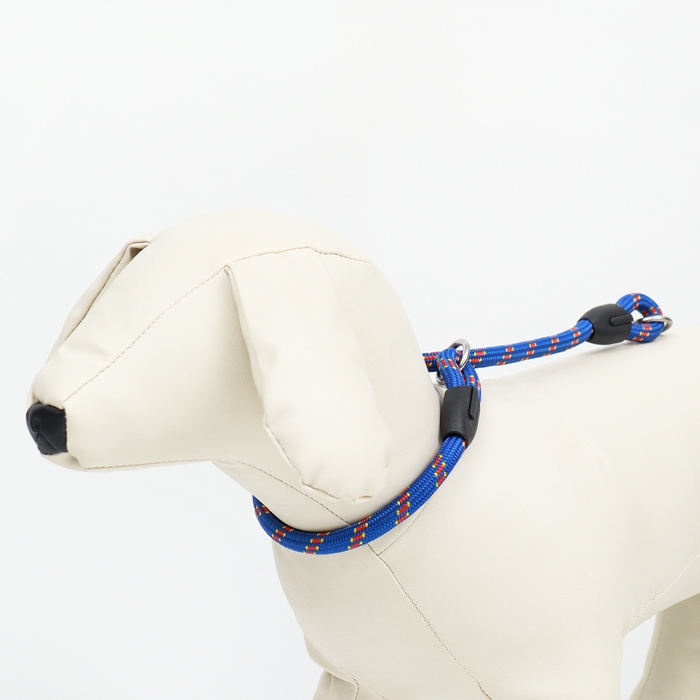 Ошейник - удавка для собак, 0,8 х 45 см, сине-красный Ошейник - удавка для собак, 0,8 х 45 см, сине-красный