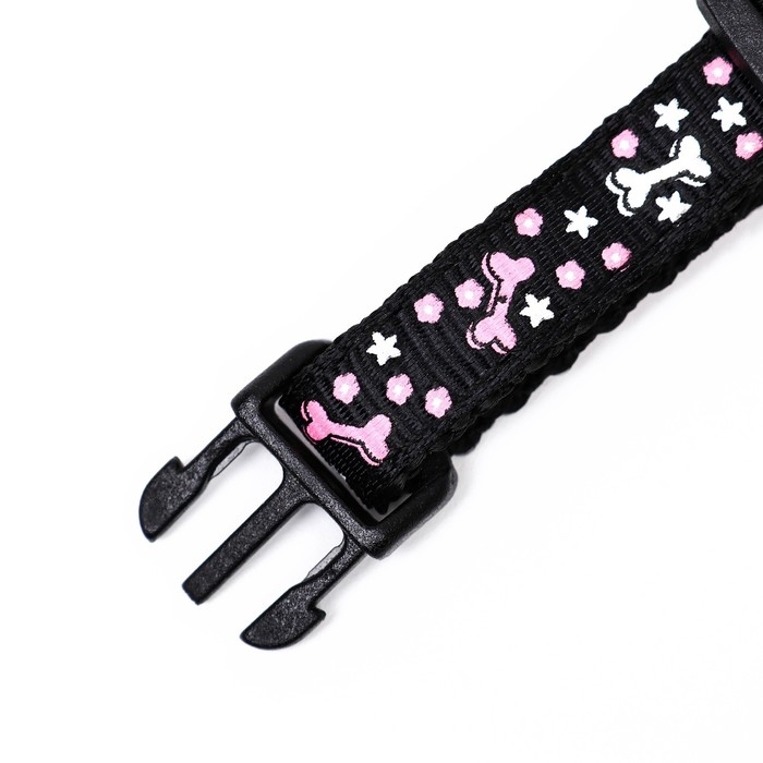 Ошейник двухслойный с фастексом Ошейник двухслойный с фастексом "Звездные косточки", 30 х 1 см, микс цветов