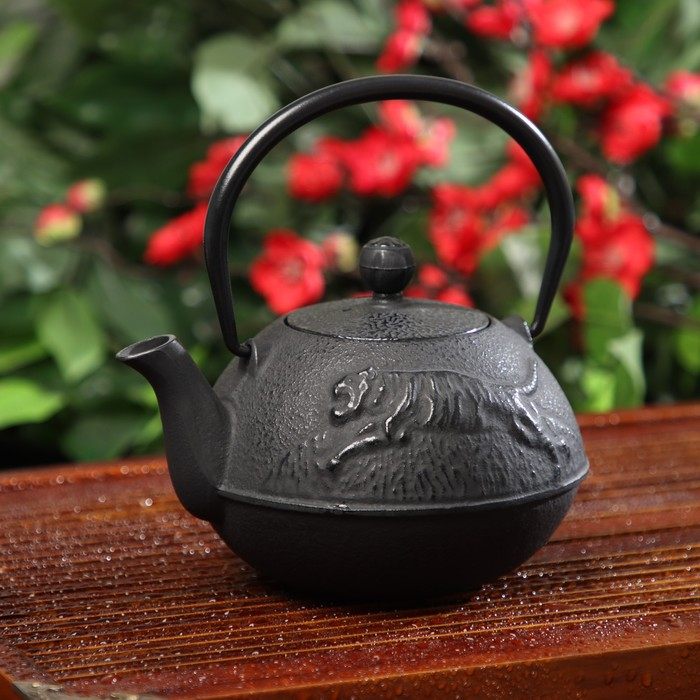 Чайник для плиты Доляна «Чёрный тигр», 700 мл, с ситом, чугун, эмалированное покрытие внутри, индукция, цвет чёрный Чайник для плиты Доляна «Чёрный тигр», 700 мл, с ситом, чугун, эмалированное покрытие внутри, индукция, цвет чёрный