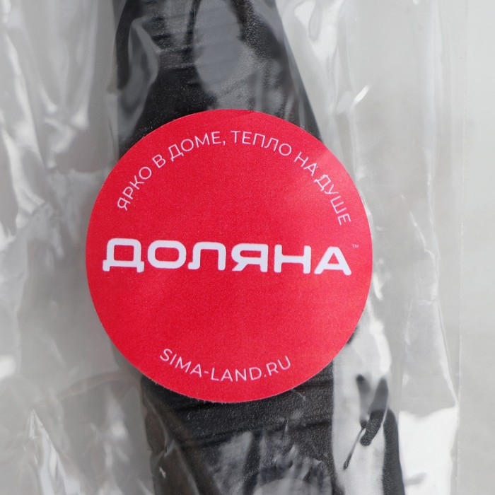 Нож для устриц Доляна, 14×4,4 см, длина лезвия 5,7см, цвет чёрный Нож для устриц Доляна, 14×4,4 см, длина лезвия 5,7см, цвет чёрный