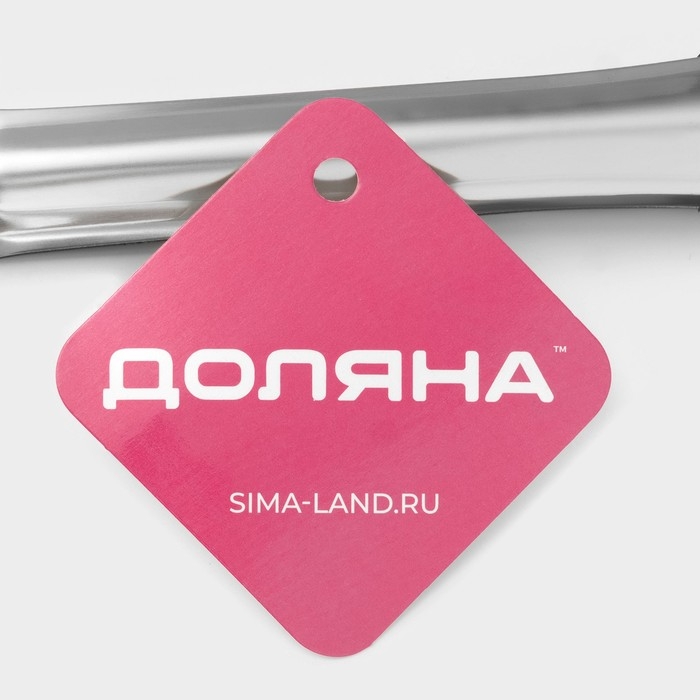 Щипцы кухонные с перфорацией Доляна, 201 сталь, 23 см, цвет серебристый Щипцы кухонные с перфорацией Доляна, 201 сталь, 23 см, цвет серебристый