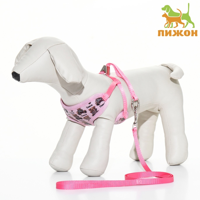 Комплект с мягкой шлейкой  Комплект с мягкой шлейкой "Дэймон", размер S, поводок 120  х 1 см, розовый