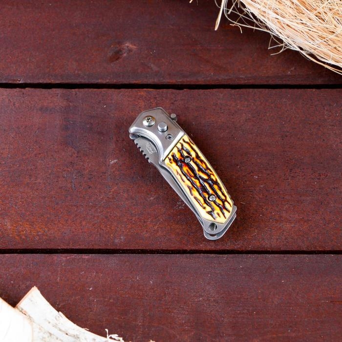 Нож складной полуавтоматический Нож складной полуавтоматический "Пескарь", клинок 6см, слон. кость