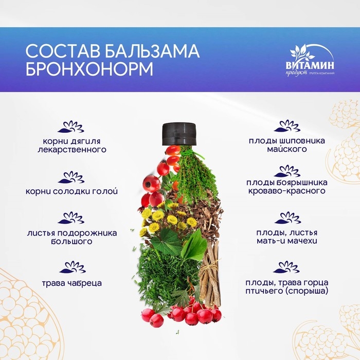 Бальзам Бронхонорм, 250 мл Бальзам Бронхонорм, 250 мл