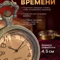 Часы карманные &laquo;Бронзовый каркас&raquo;, кварцевые, циферблат d=4.5, на цепочке 80 см