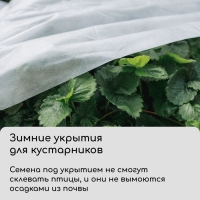 Материал укрывной, 5 × 3,2 м, плотность 80 г/м², спанбонд с УФ-стабилизатором, белый, Greengo, Эконом 30%