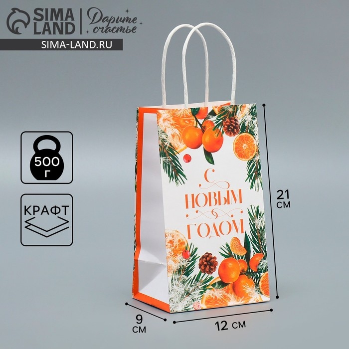 Пакет подарочный новогодний крафтовый «Новогодний цитрус», 12 х 21 х 9 см, Новый год Пакет подарочный новогодний крафтовый «Новогодний цитрус», 12 х 21 х 9 см, Новый год