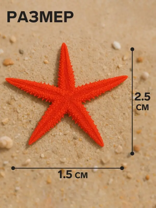 Набор натуральных морских звезд, 1.5 - 2.5 см, 20 шт., красные - белые
