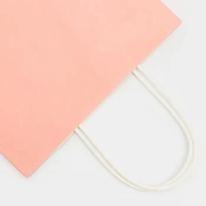 Пакет крафт «Радуга», нежно - розовый, 22×13×32 см, 80 г/м², 1 шт. Пакет крафт «Радуга», нежно - розовый, 22×13×32 см, 80 г/м², 1 шт.