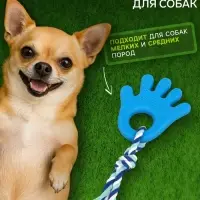 Игрушка жевательная с канатом для собак &laquo;Ладошка&raquo;, 10 см, голубая