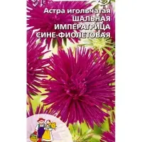 Семена Цветы Астра игольчатая &laquo;Шальная Императрица&raquo; сине-фиолетовая, 0.2 г