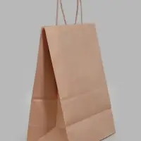 Пакет подарочный крафт &laquo;Снегирь&raquo;, 22&times;12&times;28 см