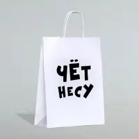 Пакет подарочный бумажный «Чёт несу», 24×14×28 см