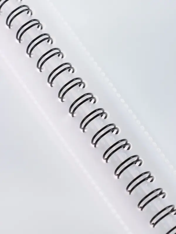 Папка-портфолио с 40 вкладышами А4, 550 мкм, ErichKrause Rose Flamingo, спираль, с рисунком