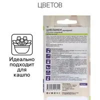 Семена комнатных цветов Цикламен &laquo;Аполлон&raquo;, 3 шт., &laquo;Семена Алтая&raquo;