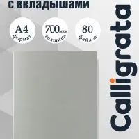 Папка с 80 вкладышами А4, 700 мкм, Calligrata, текстура &laquo;песок&raquo;, серая