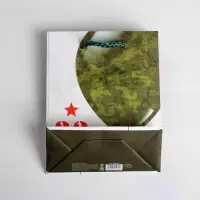Пакет подарочный ламинированный, упаковка, &laquo;С 23 февраля&raquo;, ML 23&times;27&times;11.5 см
