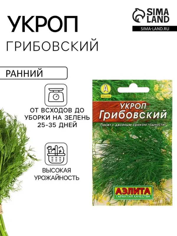 Семена Укроп "Грибовский" "Лидер", 2 г   ,