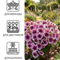 Семена цветов Петуния ампельная опера &laquo;Парпл Вейн&raquo;, 5 шт., &laquo;ПОИСК&raquo;