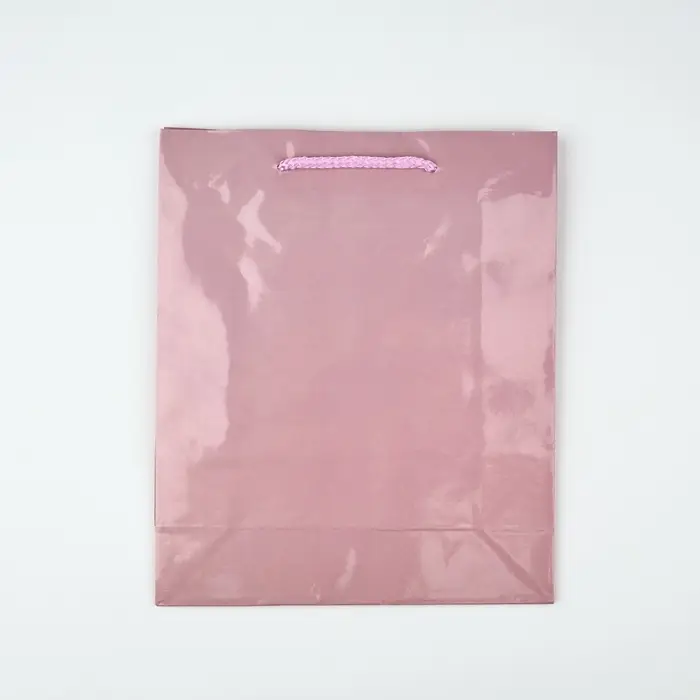 Пакет подарочный ламинированный, упаковка, «Розовый», ML 21 х 25 х 8 см