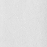 Полотенца бумажные д/дисп. Luscan Professional Vслож1слбелцел250л15пач/уп