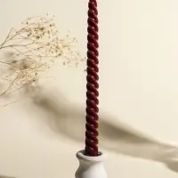 Набор свечей витых, 2х25 см, 4 шт, палитра бордового 25,5х8,8х2,4 см Набор свечей витых, 2х25 см, 4 шт, палитра бордового 25,5х8,8х2,4 см