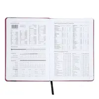 Ежедневник недатированный А5 Monochrome. Anemone, 136 листов, 7БЦ, розовый, soft touch, с резинкой