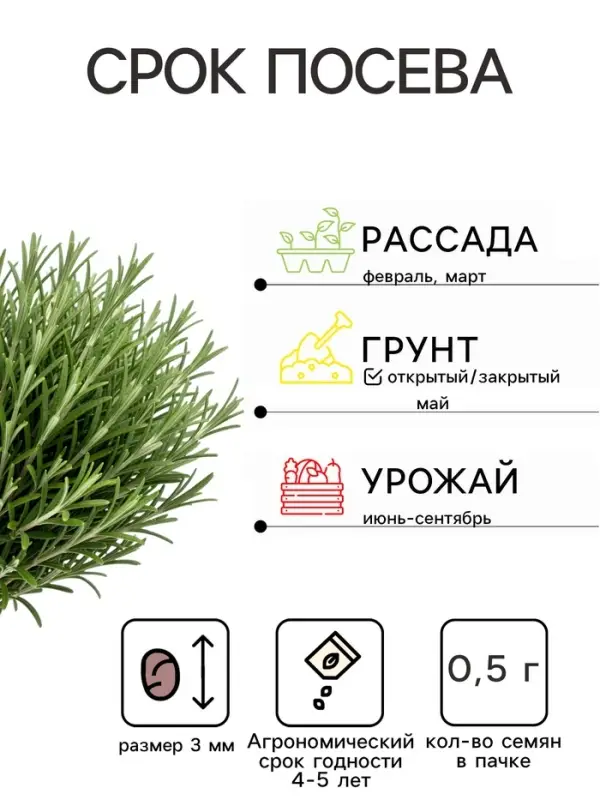 Семена Розмарин Вкус Прованса   Блюда стран мира Ц/П 20шт