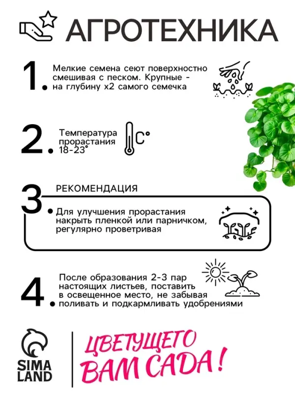 Семена цветов Дихондра  Семена цветов Дихондра "Изумрудный водопад", серия "Профи", F1, О, 10 шт.