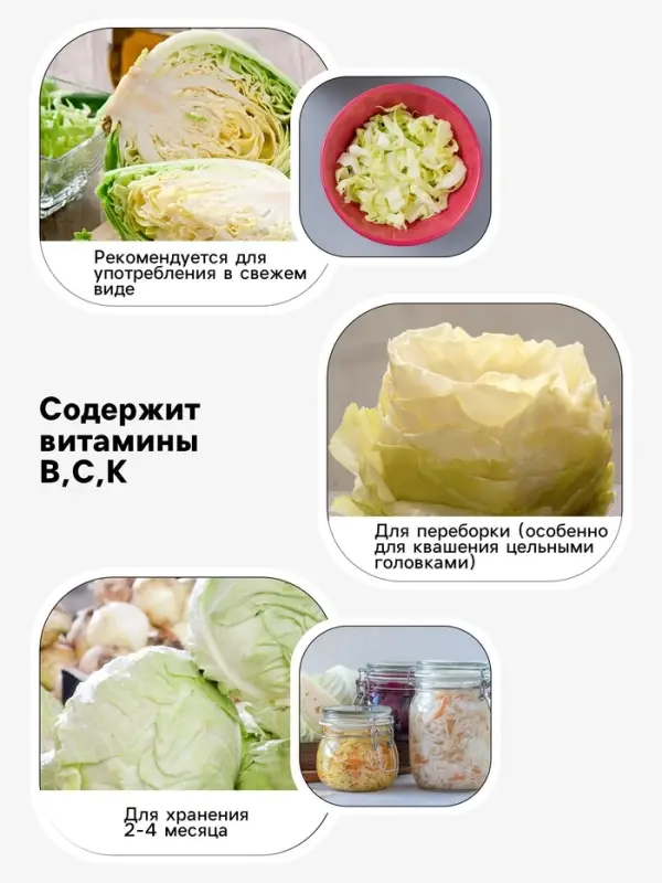 Семена Капуста белокочанная, &laquo;Ларсия&raquo;, F1, 15 шт., Seminis, &laquo;Агрос&raquo;