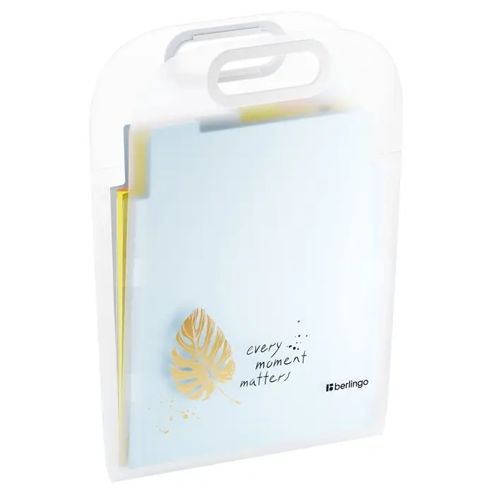 Папка А4, 6 отделений, Eco, 650 мкм, вертикальная, с ручкой, прозрачная, с рисунком