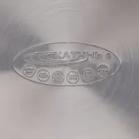 Кастрюля Катунь &laquo;Гретта&raquo;, 5.7 л, d=20 см, с крышкой, капсульное дно, индукция, нержавеющая сталь, AISI - 201, хромированная