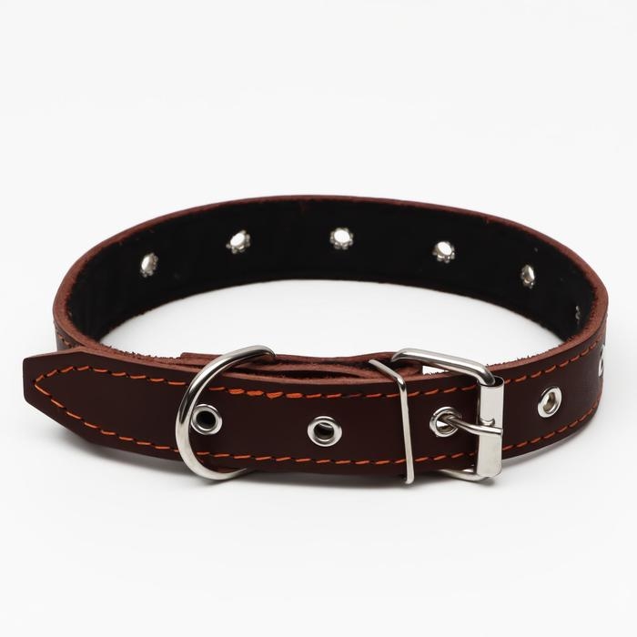 Ошейник кожаный на синтепоне, безразмерный, 65 х 3 см, ОШ 22-55 см, коричневый Ошейник кожаный на синтепоне, безразмерный, 65 х 3 см, ОШ 22-55 см, коричневый