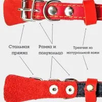 Ошейник, 35&times;1.5 см, подклад из ватина, кожа, красный