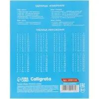 Тетради 10 штук, 18 листов в клетку Calligrata KIDS, блок офсет