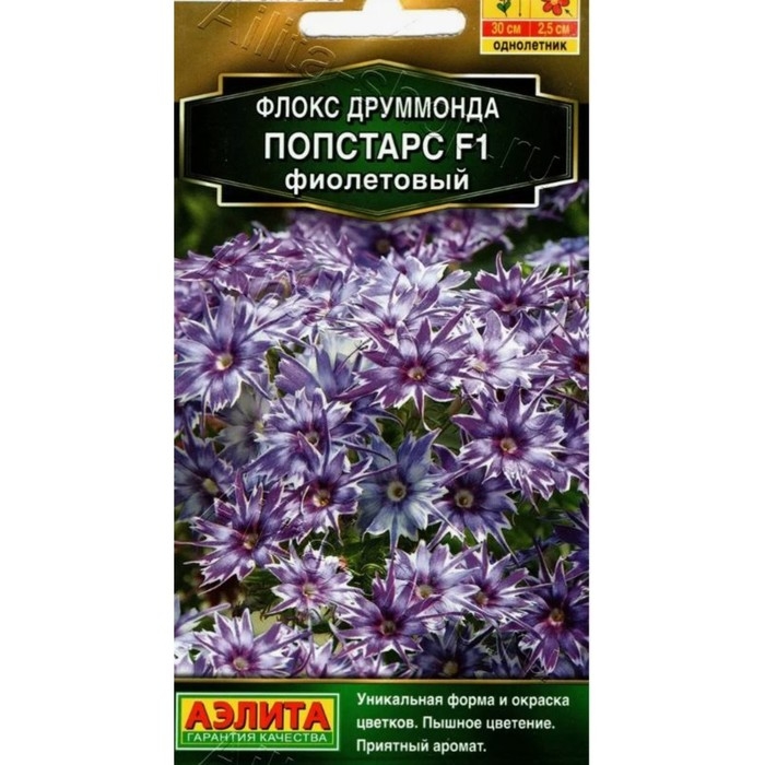 Семена Цветов Флокс друммонда  Семена Цветов Флокс друммонда "Попстарс", F1, фиолетовый, 5 шт