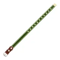 Ошейник брезентовый однослойный, безразмерный, 57&times;2.5 см, ОШ 25-45 см, хаки, зелёный