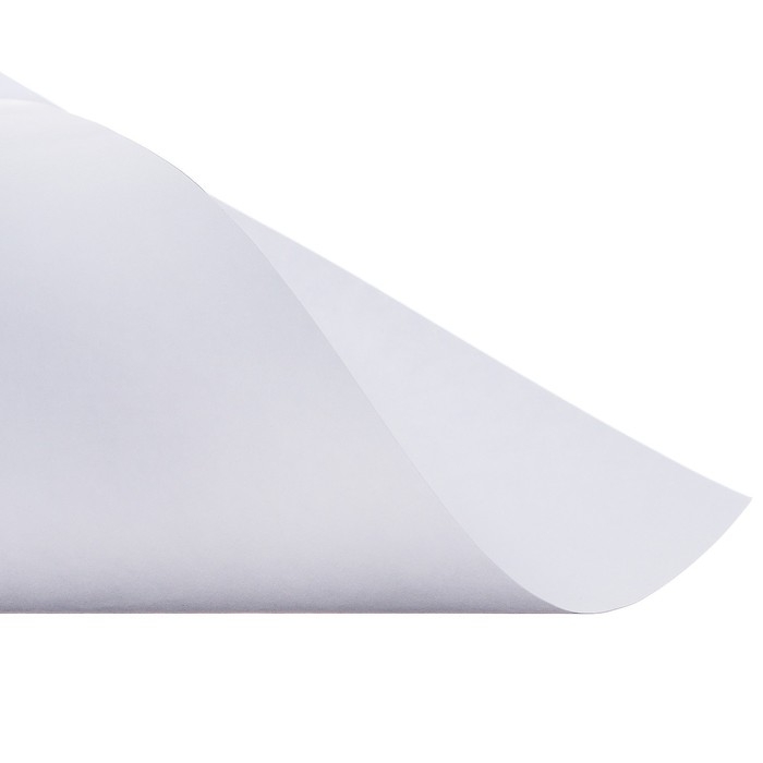 Набор ватманов чертёжных А1, 200 г/м², 10 листов Набор ватманов чертёжных А1, 200 г/м², 10 листов