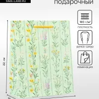 Пакет подарочный ламинированный &laquo;Гармония&raquo; 18&times;22.3&times;10 см