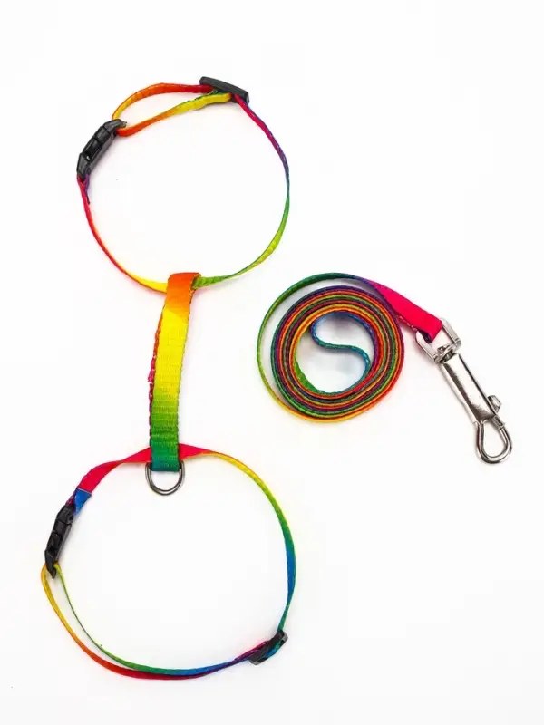Комплект для кошек &laquo;Радуга&raquo;, ОШ 16.5-27, ОГ 21-35 см, ширина 1 см, поводок 120 см