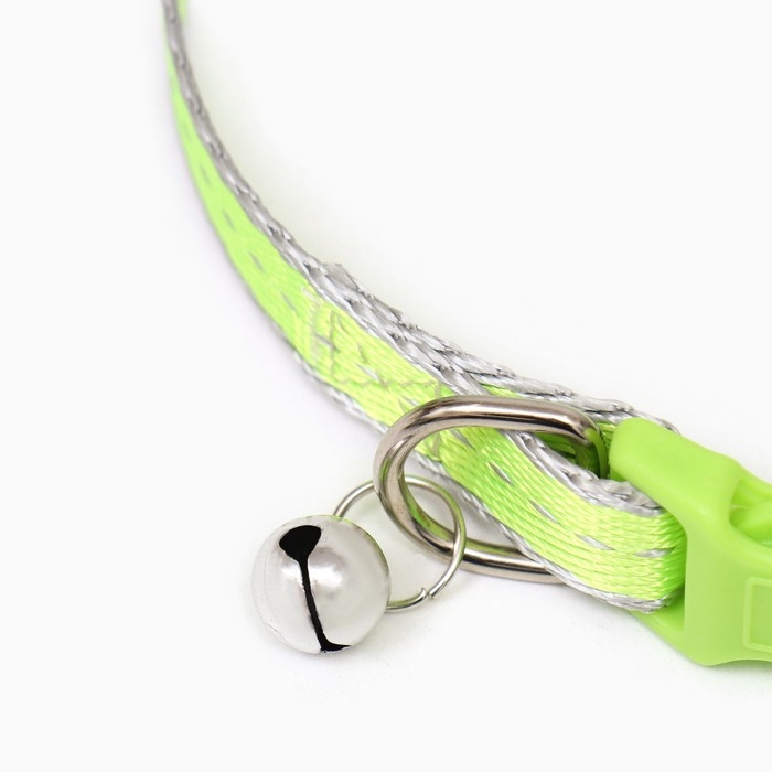 Ошейник Ошейник "Неон" 24-36 х 1,5 см, зелёный