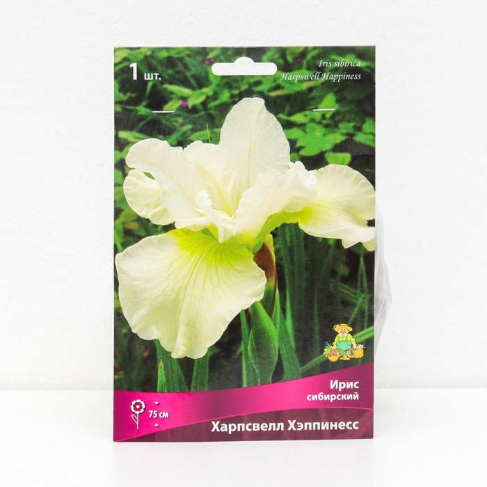 Ирис сибирский Ирис сибирский "Харпсвелл Хэппинесс", 1 шт, р-р I, Весна 2025