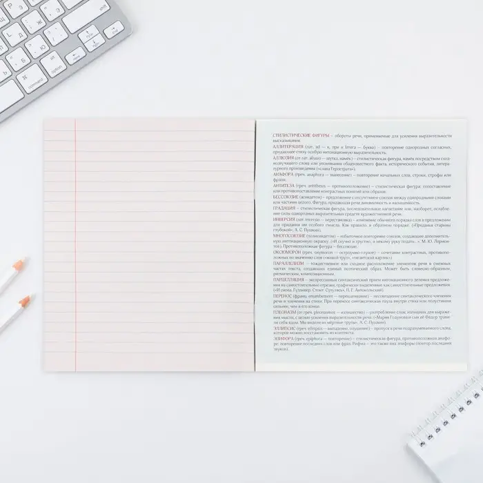 Тетрадь в линейку, предметная, 48 л.,на скрепке, А5 &laquo;ПРИРОДА. Литература&raquo;