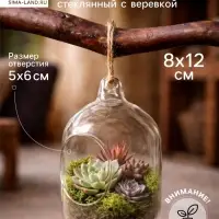 Флорариум &laquo;Цилиндр&raquo;, с верёвкой, d=5&times;6 см, 8&times;12 см