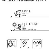 Семена цветов Аквилегия гибридная Желтая звезда, 0,05гр
