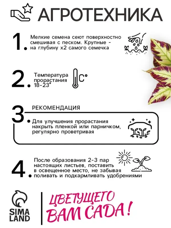 Семена цветов Колеус Визард Мозаик, 10шт Семена цветов Колеус Визард Мозаик, 10шт